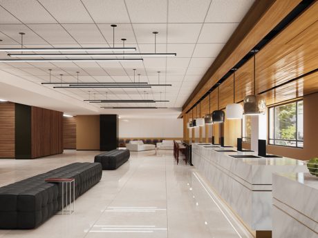 Tile, Grid & Suspension Systems