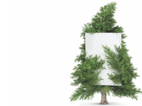The World's Most Sustainable Wallboard.