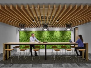 Wood Ceilings