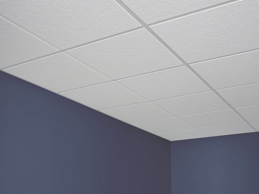 Eclipse Illusion Acoustical Panels Drop Ceiling Panel