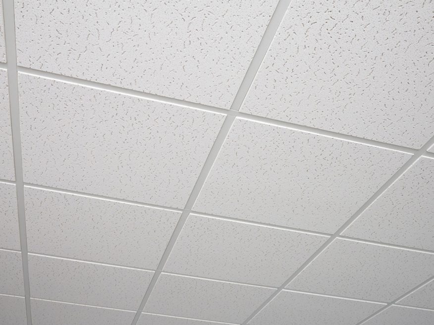 Fissured Basic Acoustical Ceiling