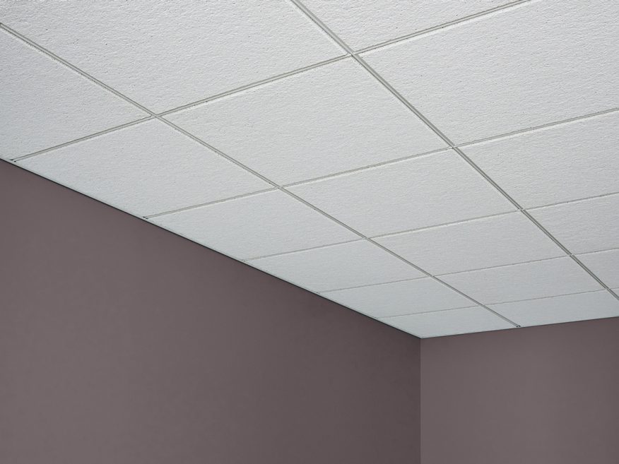 Frost Acoustical Ceiling Panels