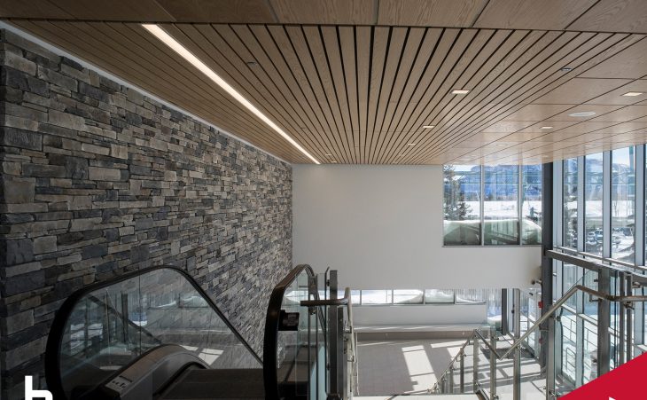 CGC Expands Groupe Beauchesne Partnership to Include Ceilings