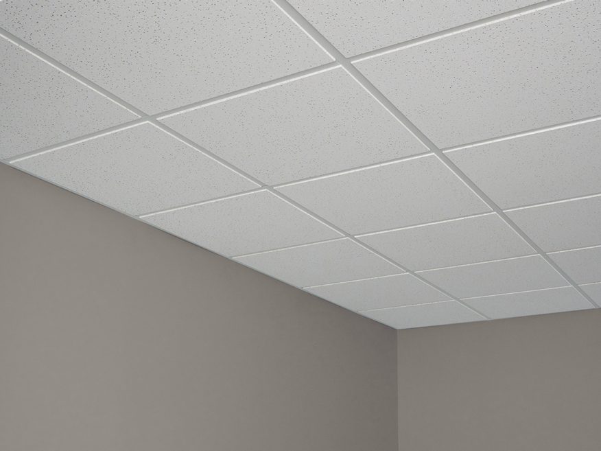 Radar Basic Acoustical Panels Medium Textured Ceiling Usg