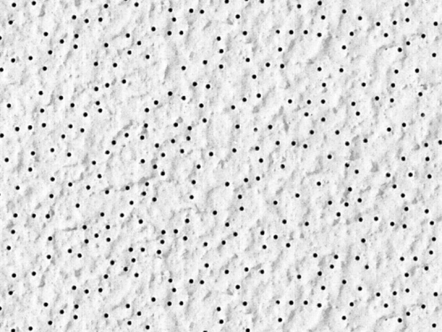 Rock Face Acoustical Panels
