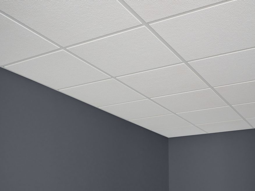 Touchstone Acoustical Panels Medium Texture Ceiling