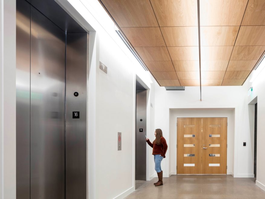 True Wood Ceiling Panels